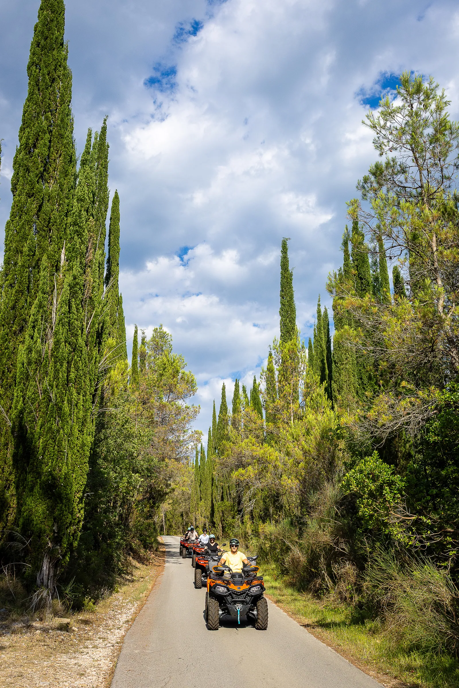 ATV convoy riding a narrow road between tall cypress trees