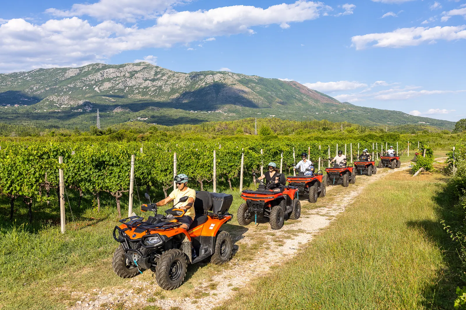 Quads riding between vineyard rows under the mountains