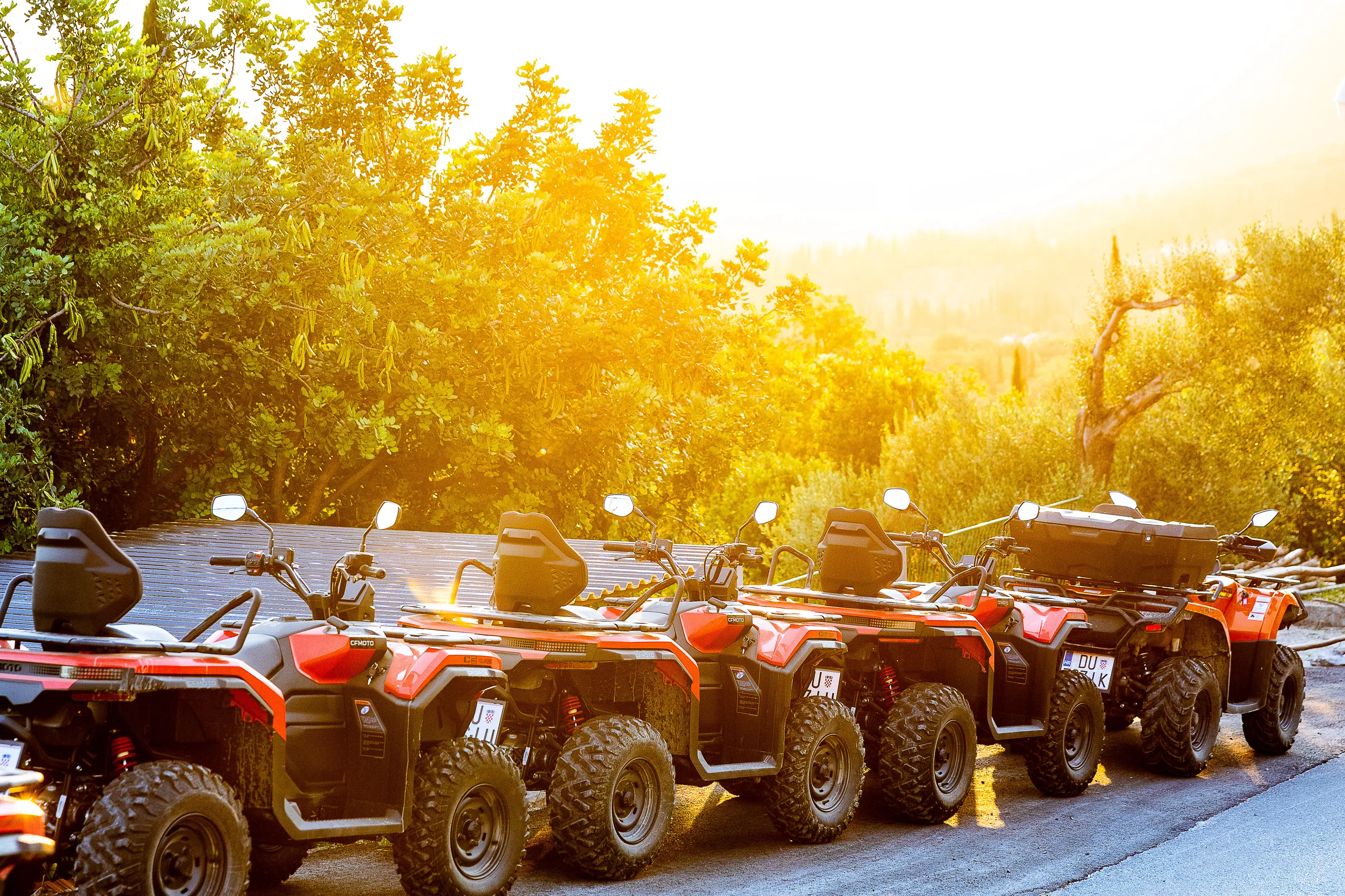A line of ATV quads parked at golden hour with low sun through the trees