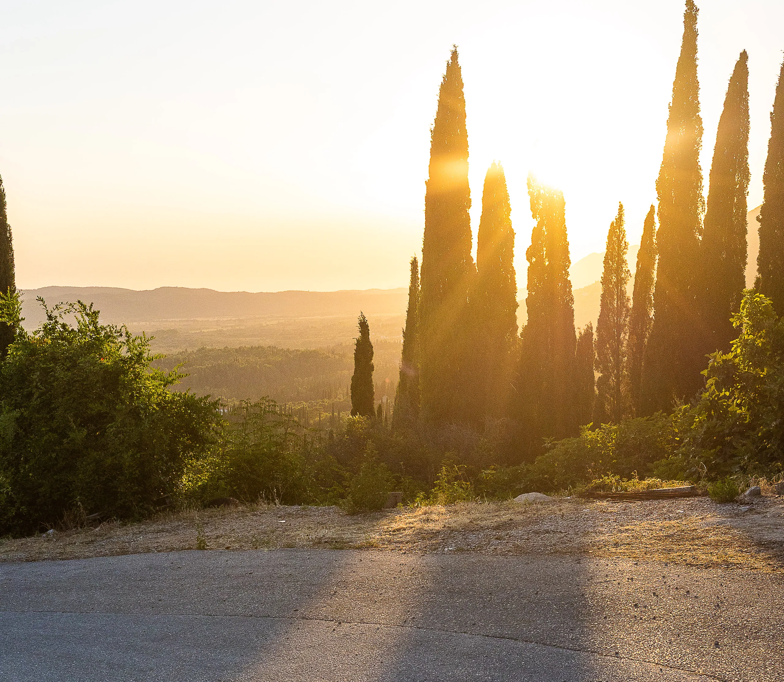 Sunset over the Konavle valley through a row of tall cypress trees
